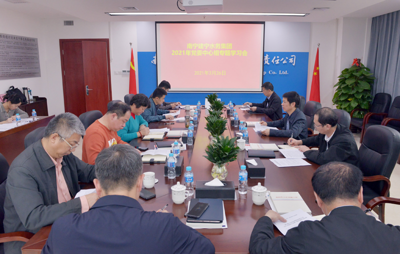 集团公司党委理论学习中心组召开第一季度专题学习会（杨健）.JPG